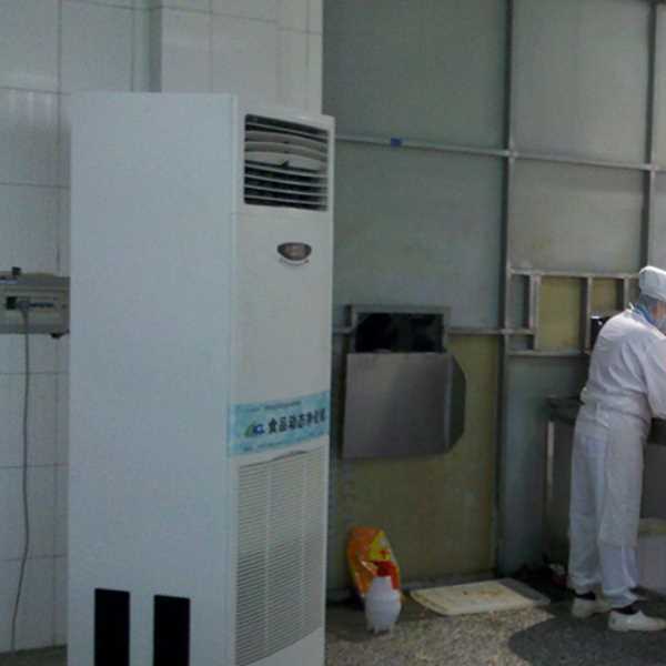 海口食品正负离子空气杀菌器